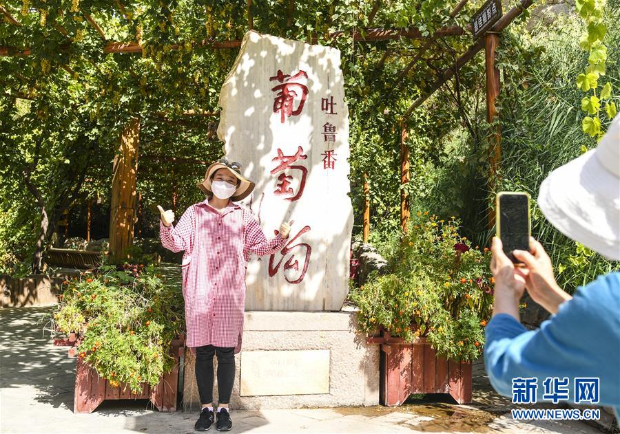 溫碧霞
