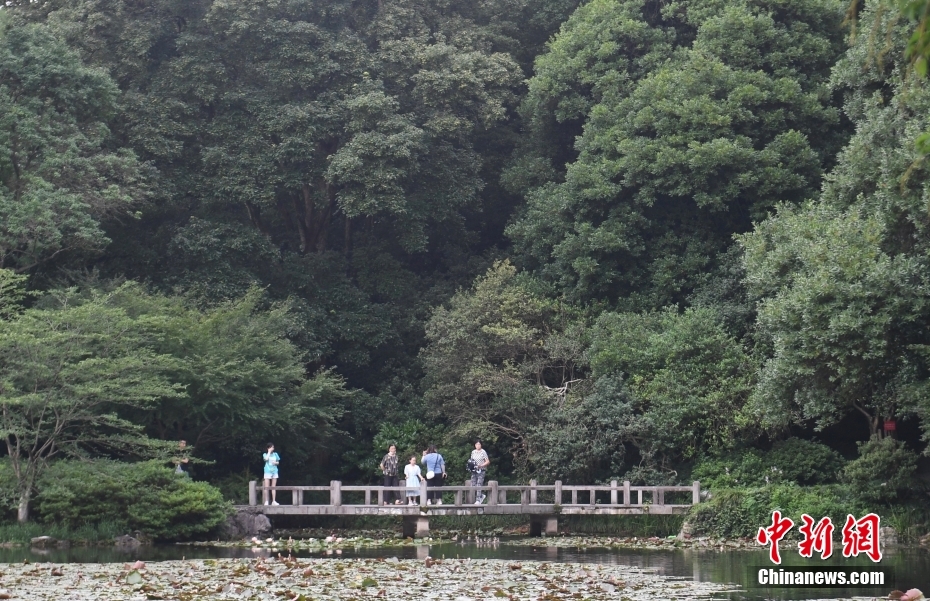 高潮痉挛Xxxx另类Hd