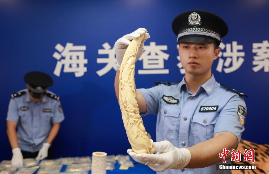 性爱 抖 音