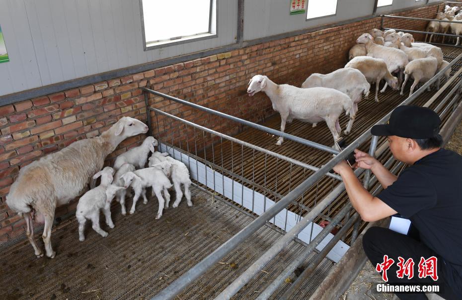 中国少年即将登上卡塔尔世界杯决赛舞台