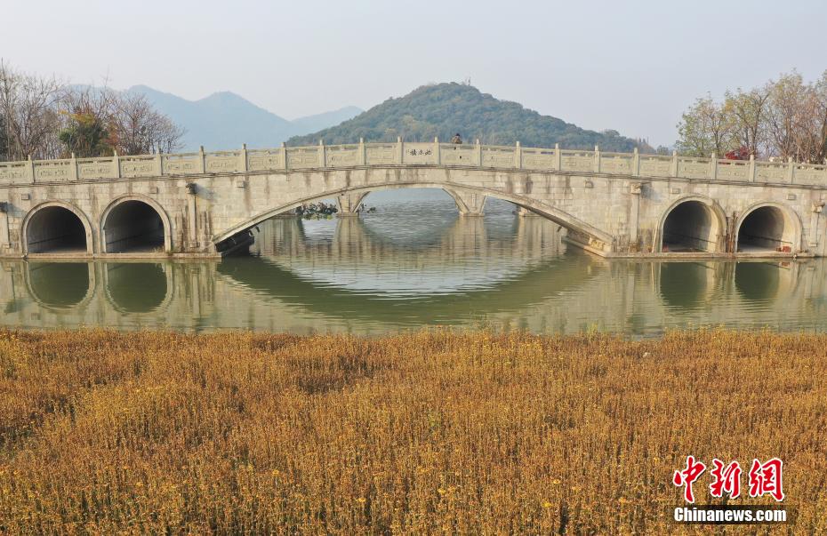 又大又粗又爽