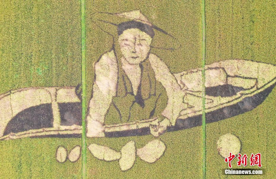 www.草逼