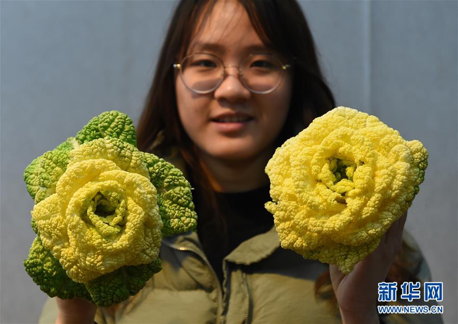 夸克最新在线观看视频