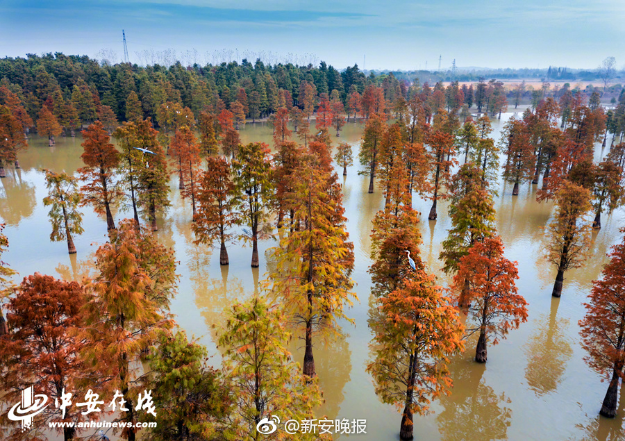 北大学霸公开学习方法