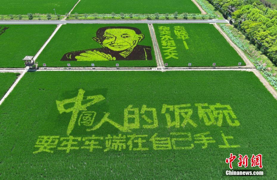 亚洲黄色片