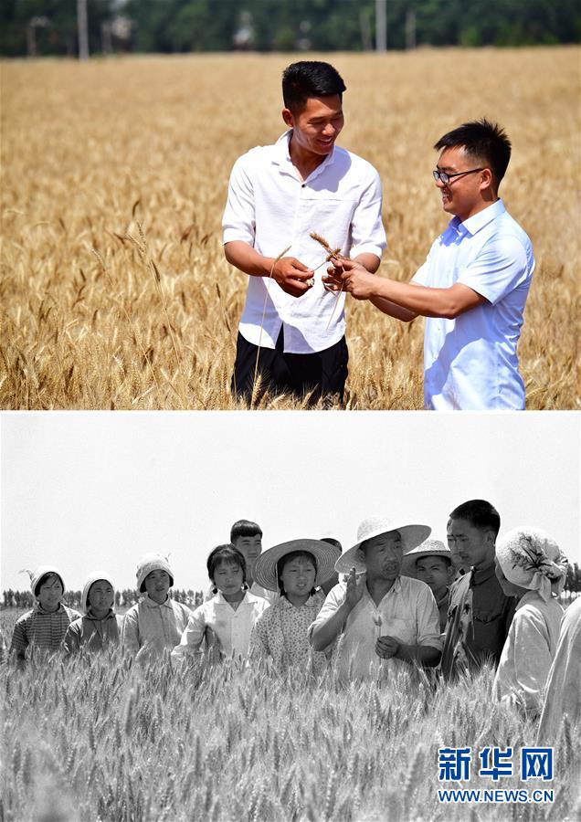 老妇Xxxxx性视频播放
