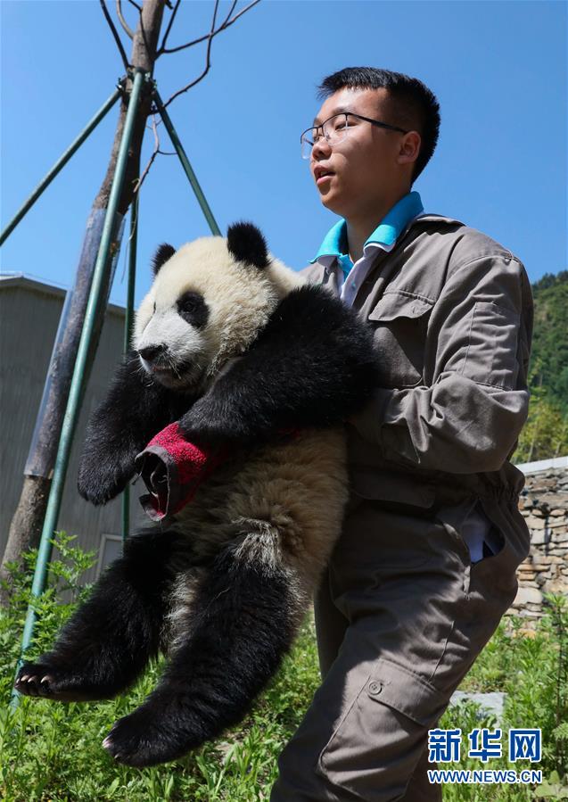 Xxxx特殊按摩精油电影