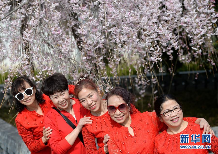 美女露%100身体无档