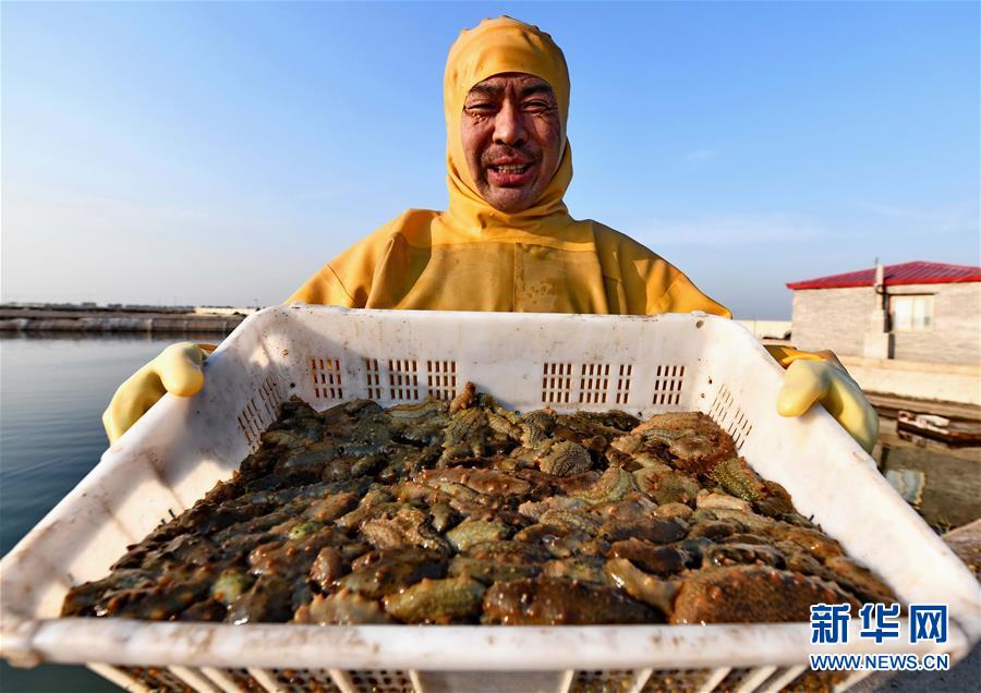 武汉有偿捐卵供卵,宝宝消化不良的危害