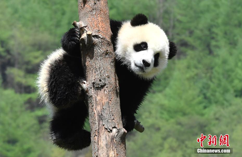 一级a免一级a做免费线看内祥