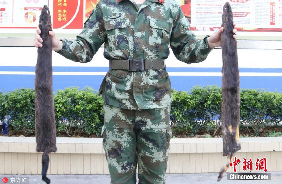 園田美櫻無碼