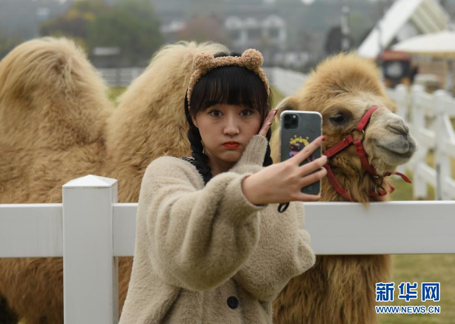 中国性老太Hd大全一中国性老