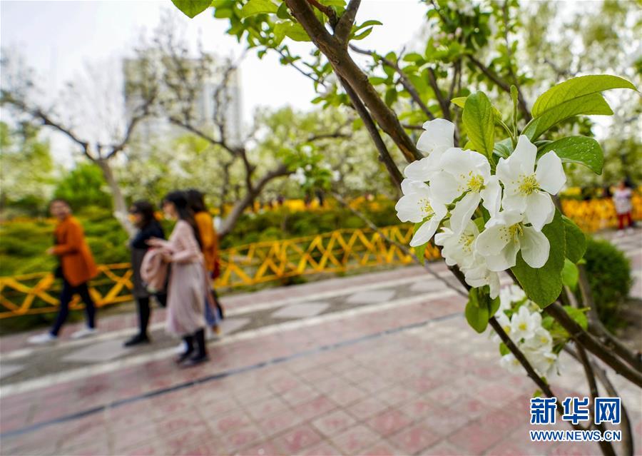 内谢中国老婆的出处和背景