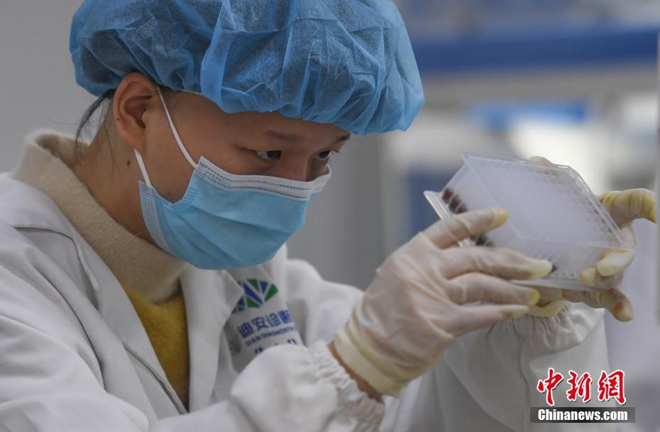 八重神子和丘丘人繁殖后代的视频
