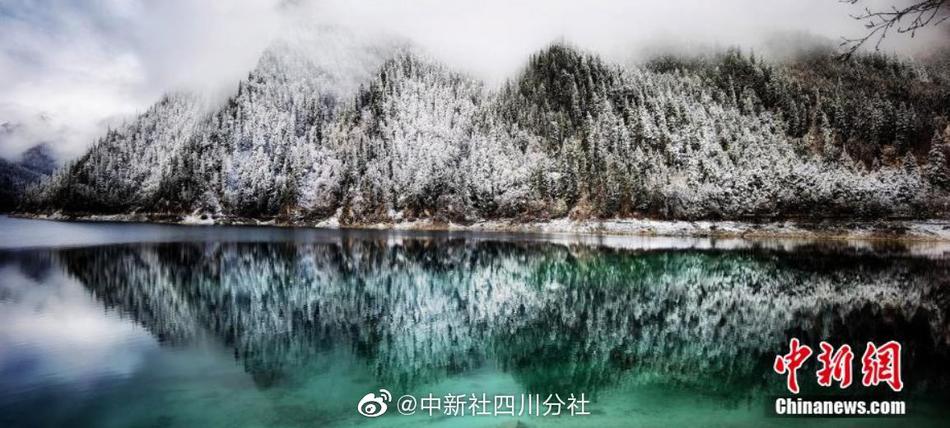 三级片一片黄