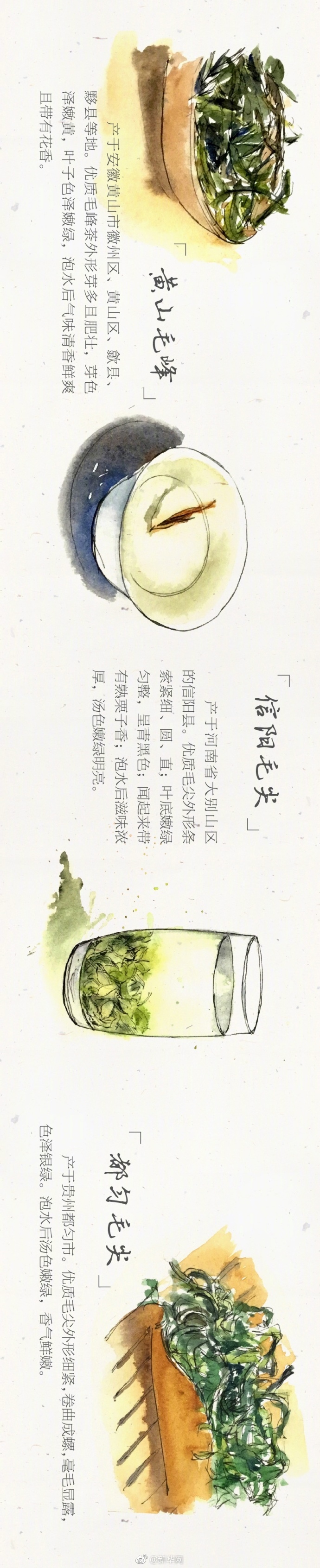 老太交老妪交Hdhd