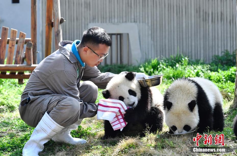 少妇搡BBBB搡BBBB毛多多