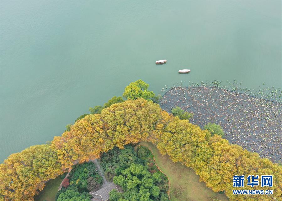 魅影5.3直播