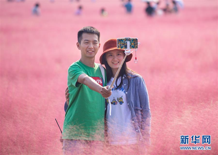 十大免费黄色软件