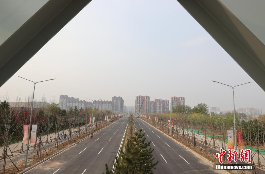 黄色网站视频在线观看