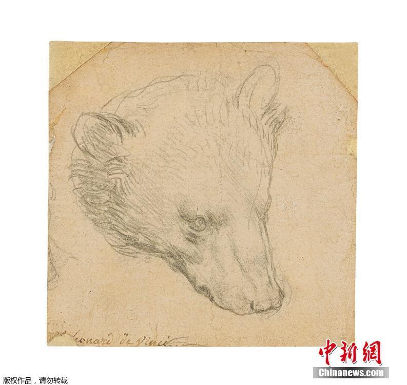 达·芬奇画作《熊头》即将被拍卖 估价或创下新纪录