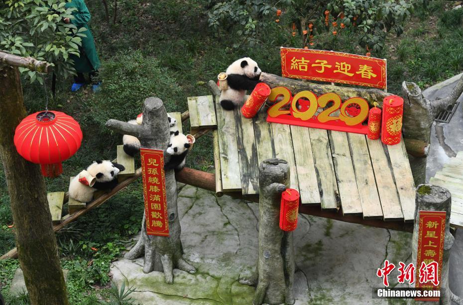 免费 在线 色情 电影