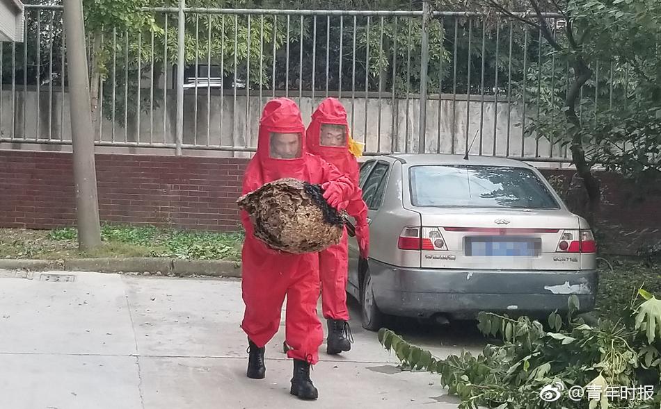 沐风之女，在线观看与剧情介绍