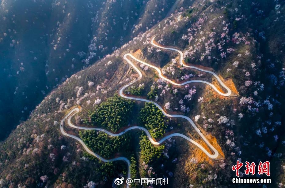 亚洲成a