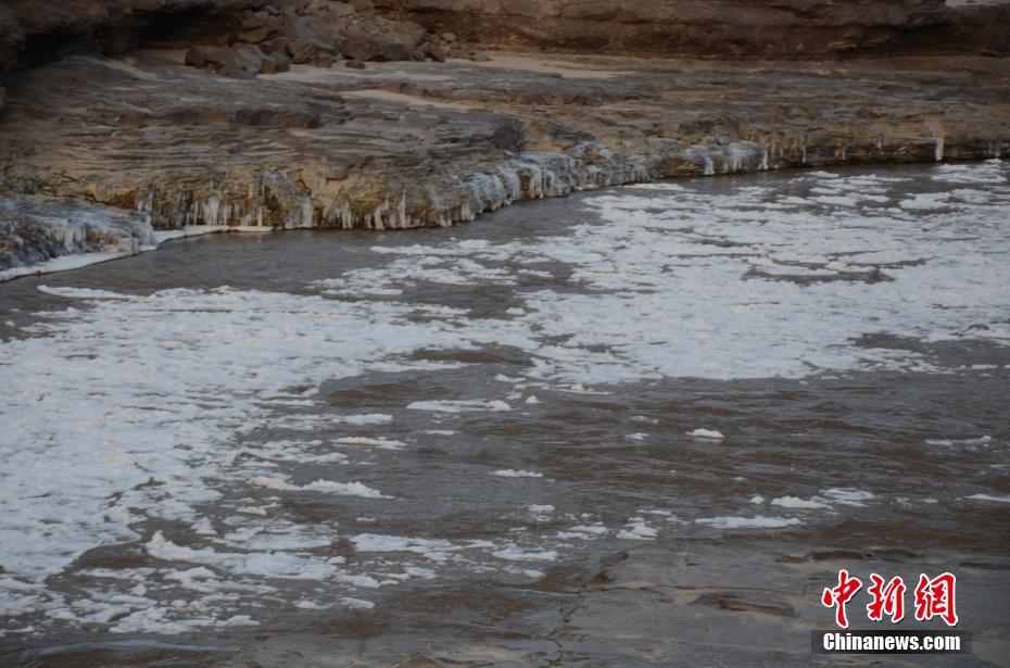 日韩成人无码
