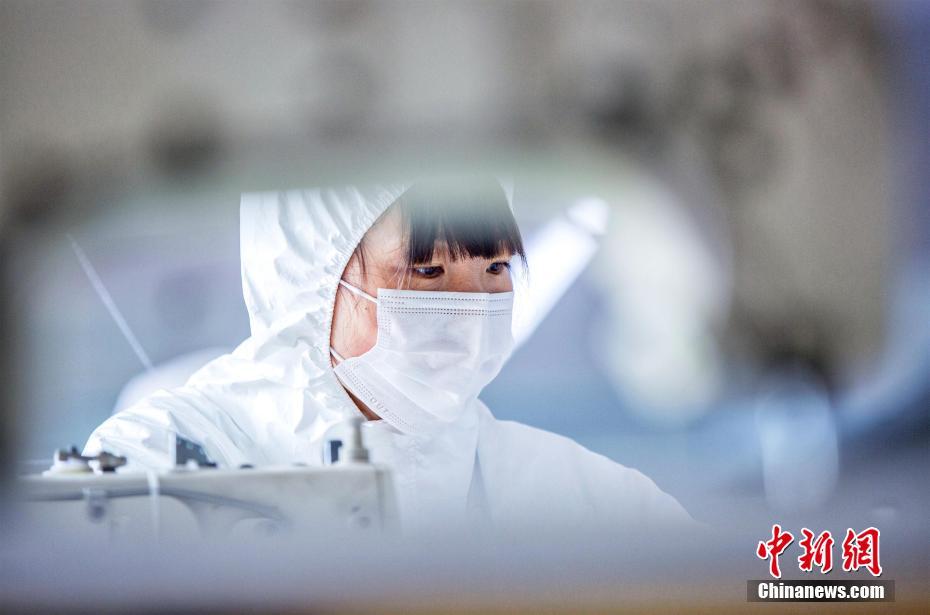 Www黄片视频在线播放