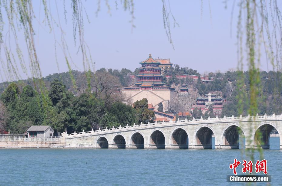 九九综合