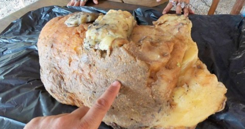 上海男性生殖科哪家医院好?选择试管生殖医院的条件