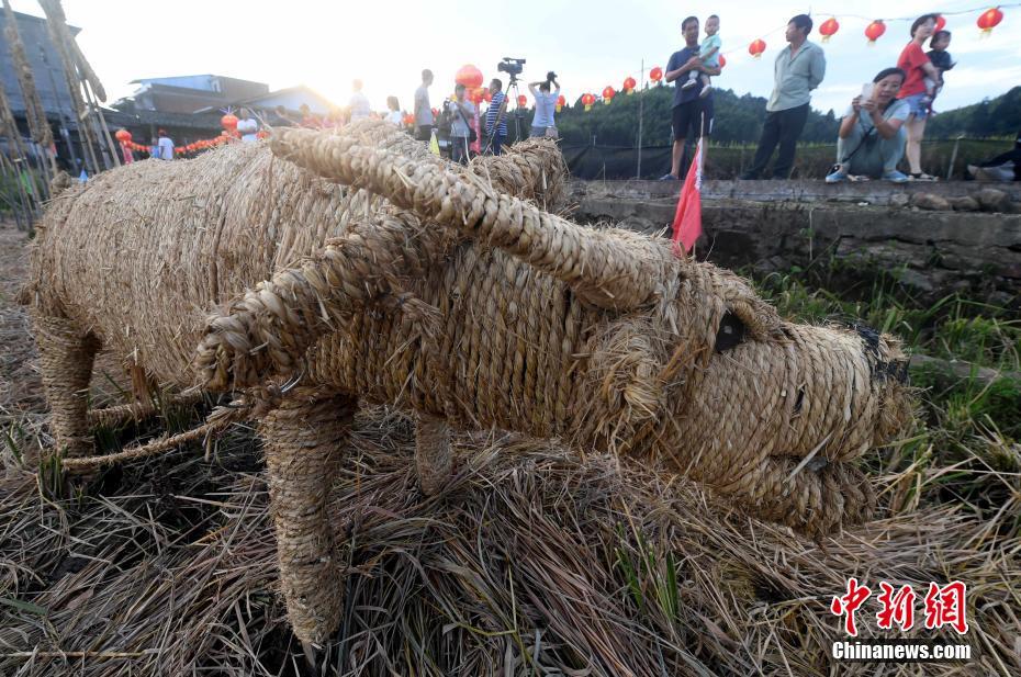 免费曰老熟视屏
