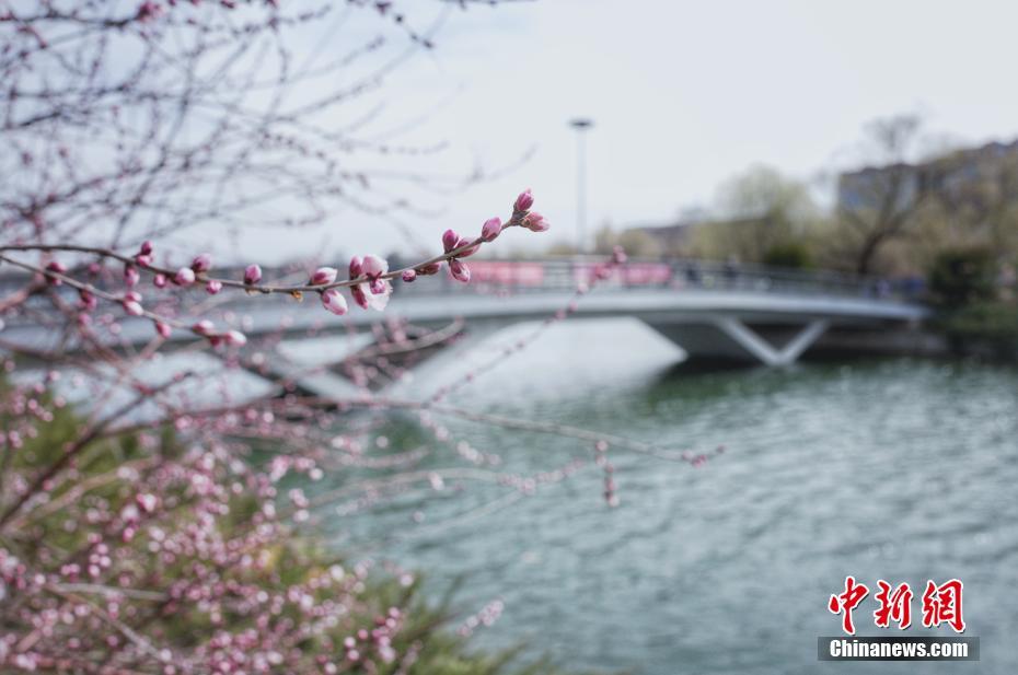 中国熟女推油按摩偷拍