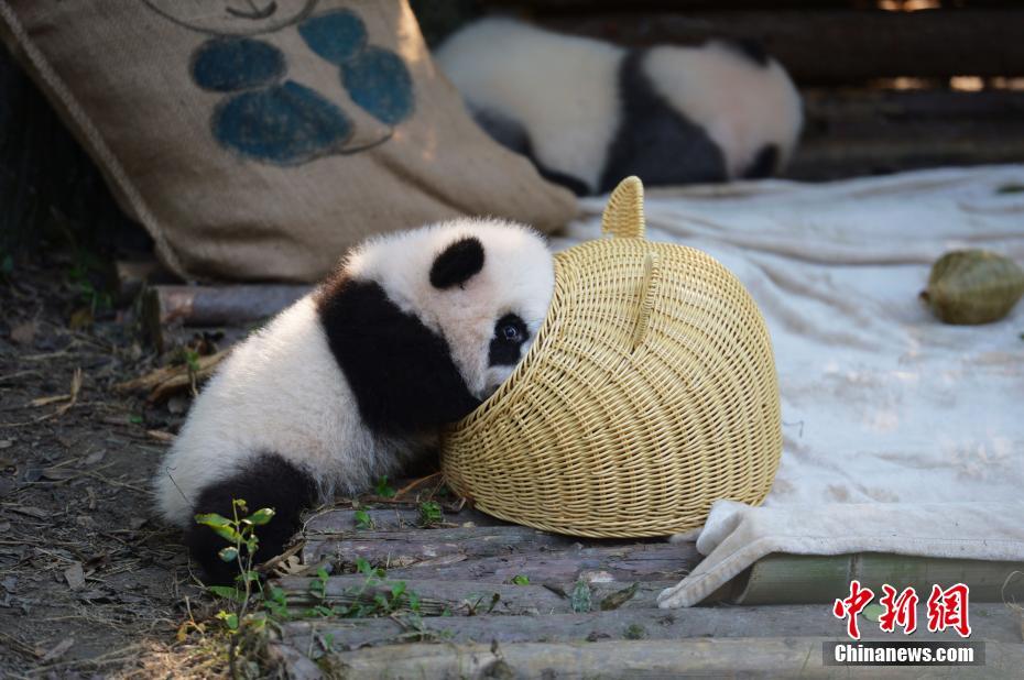 欧美色影院
