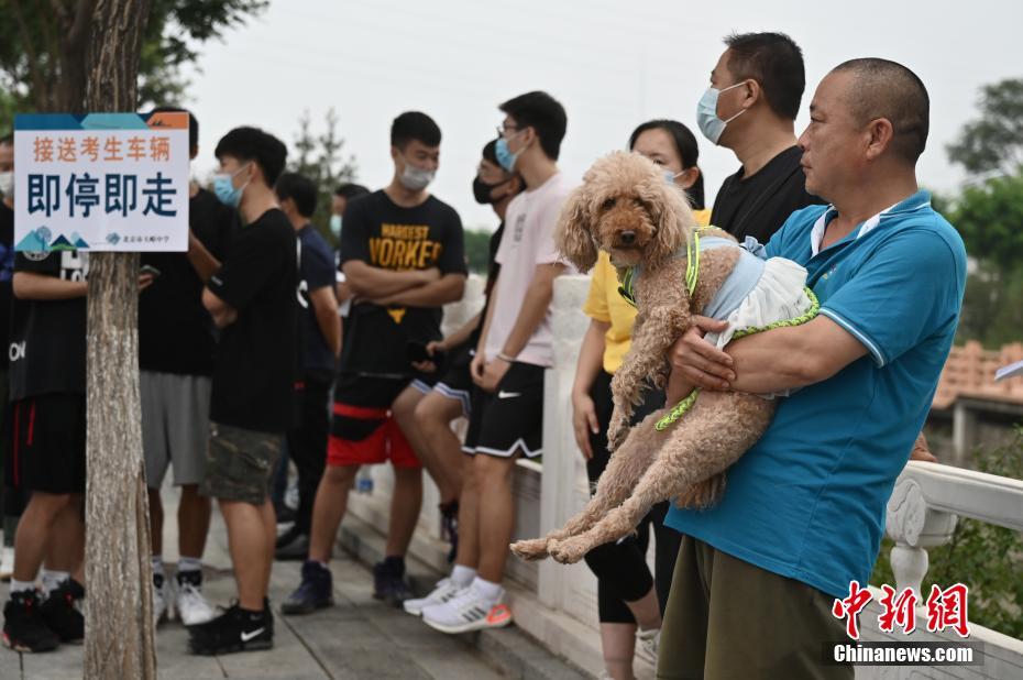 人妻波多野结衣无码