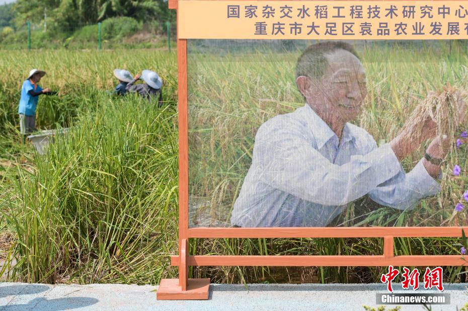 益智解谜新作《周游世界》上架IOS平台[多图]