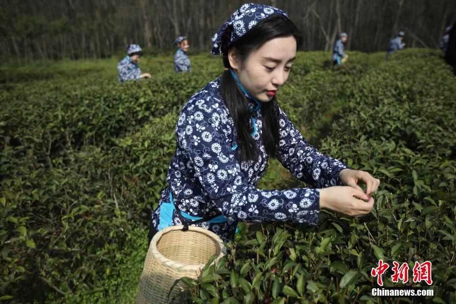 张筱雨扒开双腿毛茸茸的