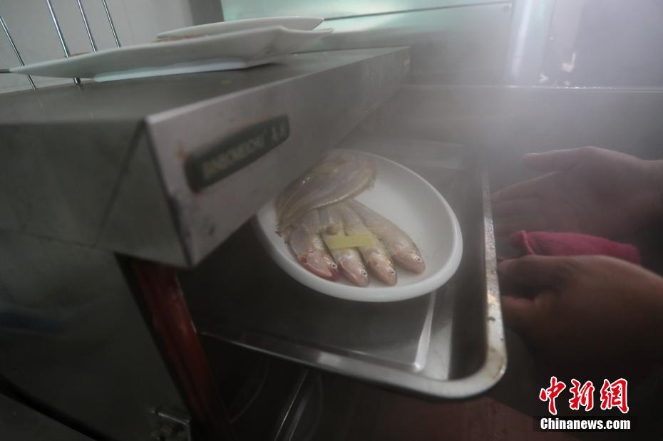 全部裸体做爰大片免费看网站