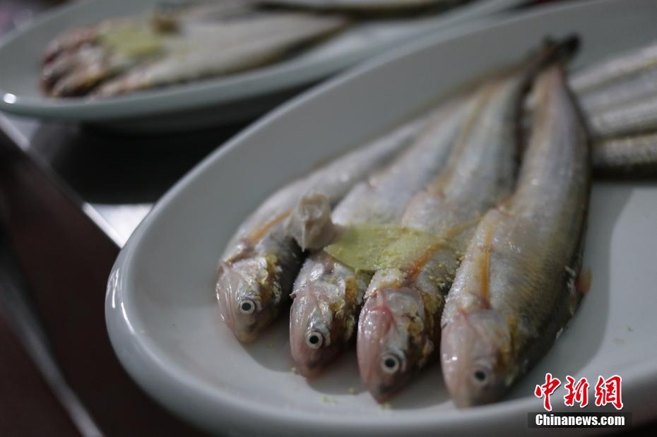 大胃王木下