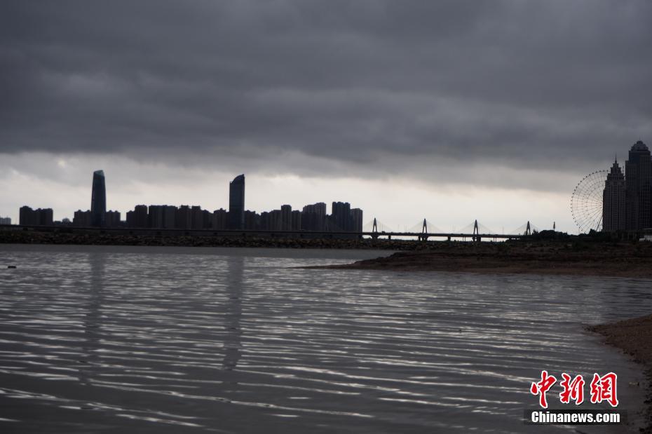 丰满的大隂户近距离特写