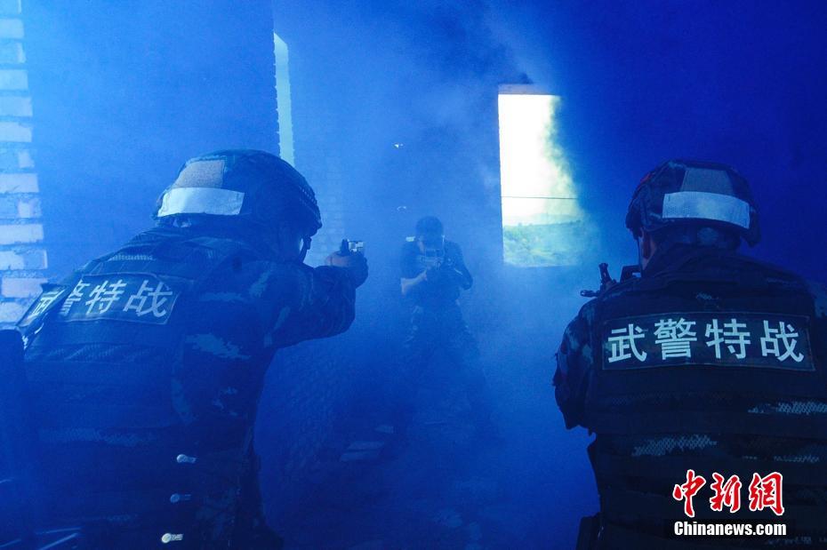 欧美簧片