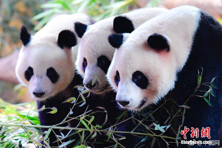赤水市有什么好吃的