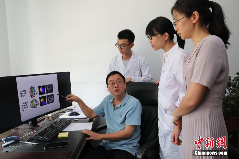 teachingfelling汉化版4.0.6
