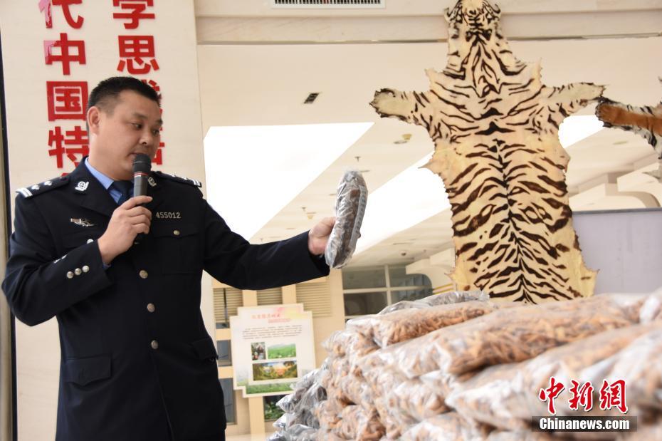 免费操逼