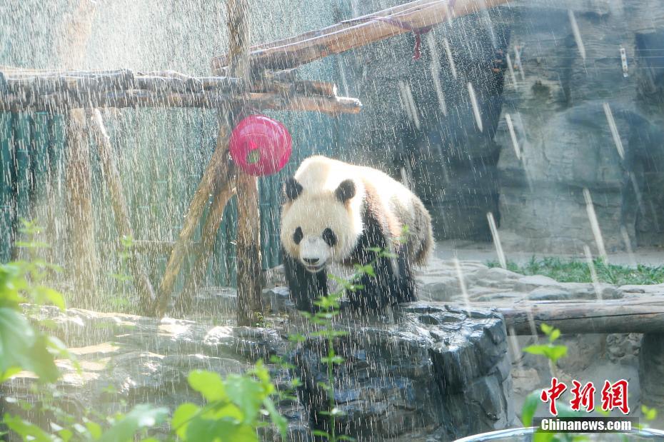 性亚洲老奶老太