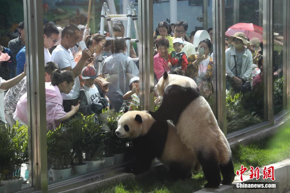 女性脱 给我揉 图片+亲嘴