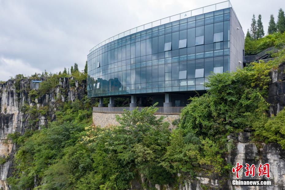 人一禽一交一视一频下一句是什么