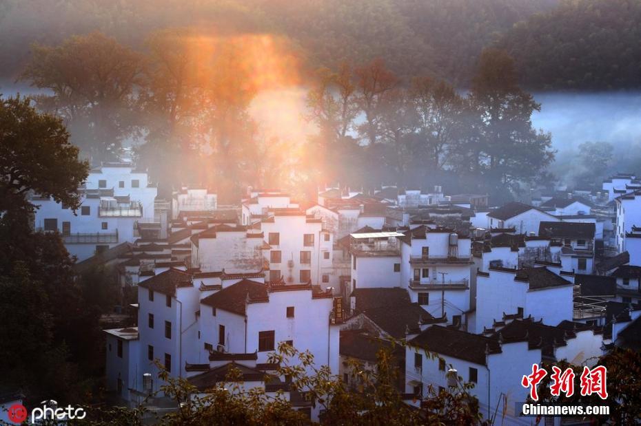 欧洲熟女大屁股