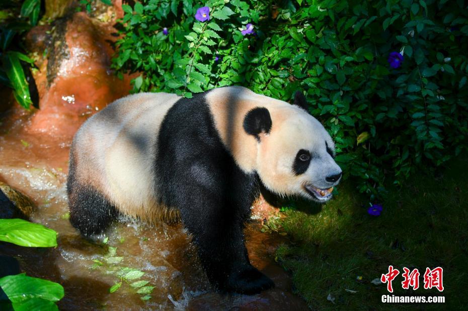 成人 电影 线 上 看